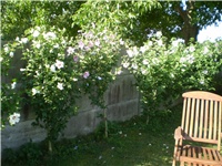 93cd6533-Picture 6320.jpg